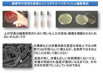 研究室の細菌と実際の細菌