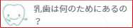 乳歯は何のためにあるの