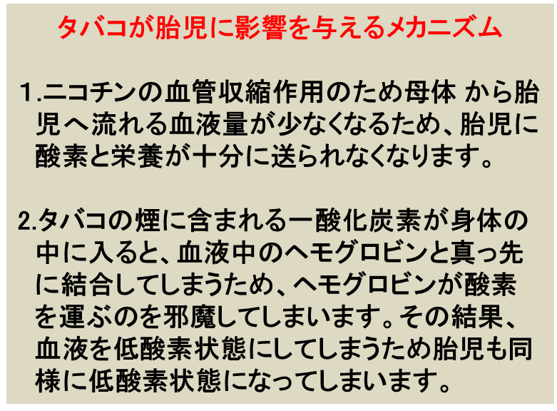 タバコが胎児に与える影響