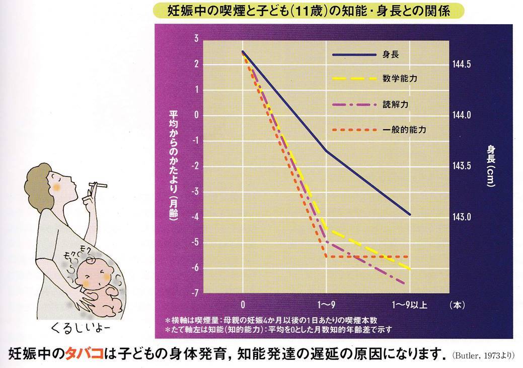 妊婦の喫煙と子供の知能・身長