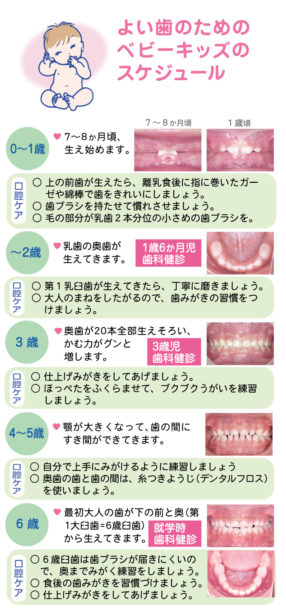 良い歯のためのベビーキッズのスケジュール