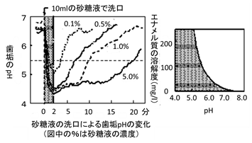 歯が溶けるpH 臨界pH