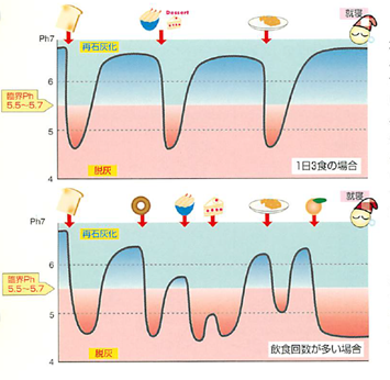 一日の脱灰と石灰化