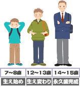 6歳からのお口の状態