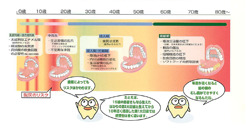 年代別の虫歯リスク